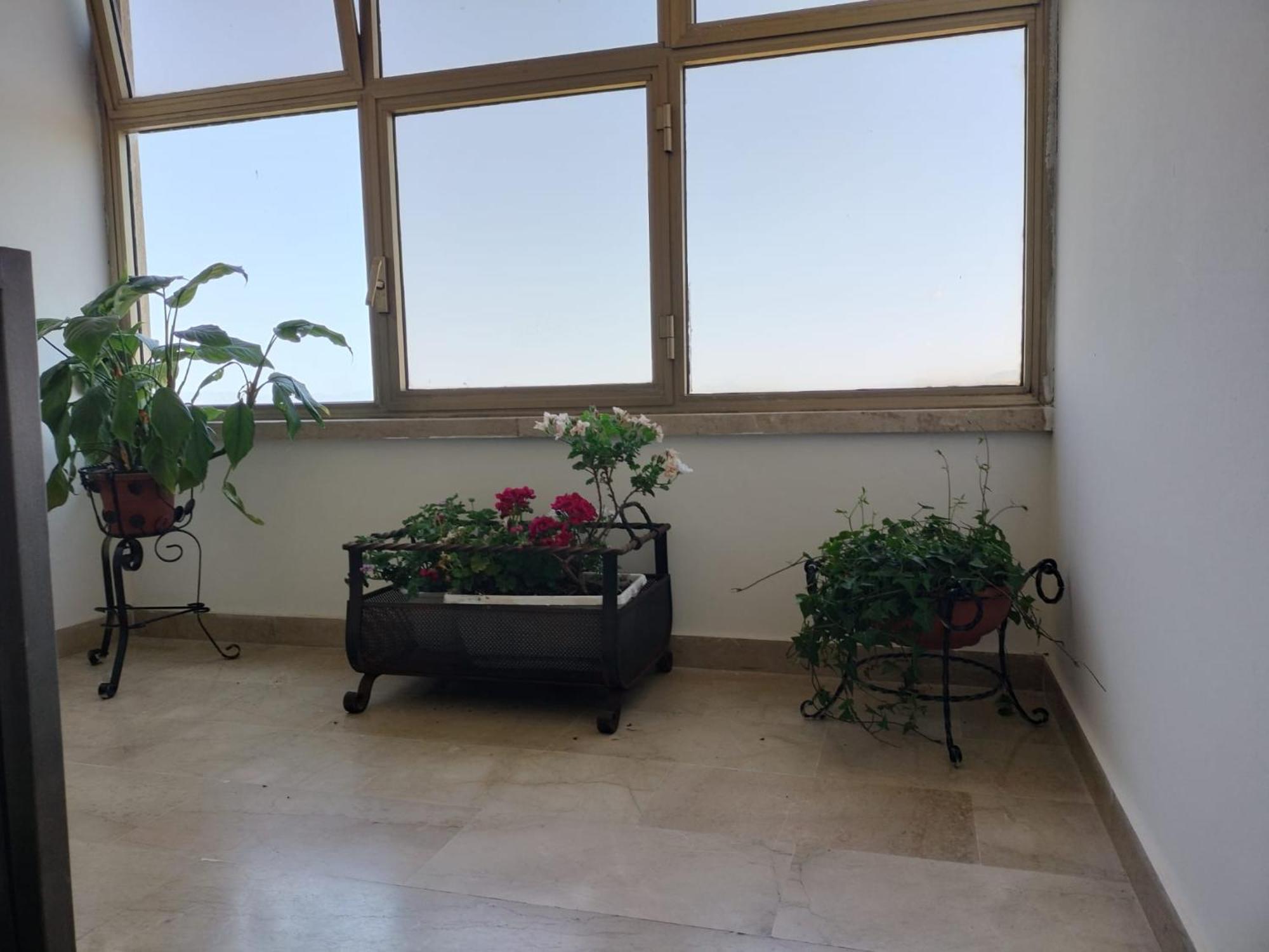 D&P Suites 1 Salemi Экстерьер фото